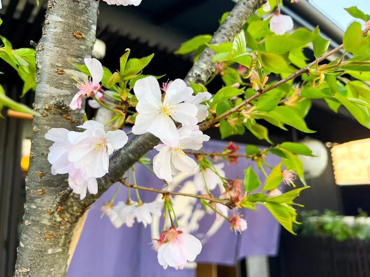 Rinn Kamiebisu Kyoto Japan